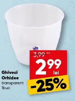 PROFI Ghiveci Orhidee Ofertă