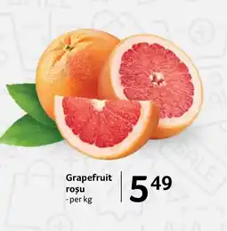 Selgros Grapefruit roşu Ofertă