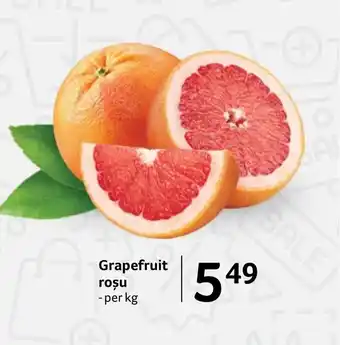 Selgros Grapefruit roşu Ofertă