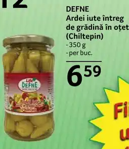 Selgros DEFNE Ardei iute întreg de grădină în oțet (Chiltepin) Ofertă