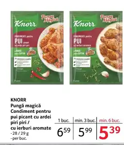 Selgros KNORR Pungă magică Condiment pentru pui picant cu ardei piri piri / cu ierburi aromate Ofertă