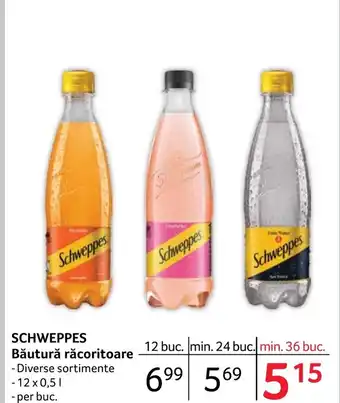 Selgros SCHWEPPES Băutură răcoritoare Ofertă