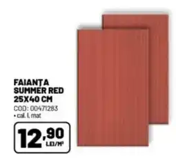 Ambient Faianta summer red Ofertă