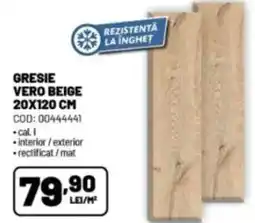 Ambient Gresie vero beige Ofertă