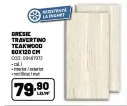 Ambient Gresie travertino teakwood Ofertă