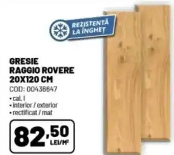 Ambient Gresie raggio rovere Ofertă