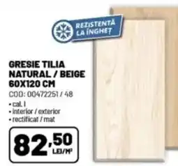 Ambient Gresie tilia natural/beige Ofertă