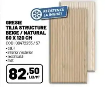 Ambient Gresie rezistenta la inghet beige/natural Ofertă