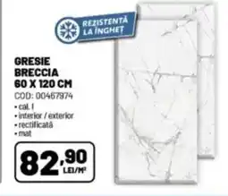 Ambient Gresie breccia Ofertă