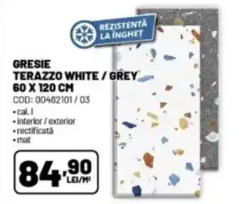 Ambient Gresie terazzo white/grey Ofertă