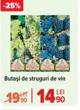 Carrefour Market Butaşi de struguri de vin Ofertă