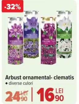 Carrefour Market Arbust ornamental-clematis Ofertă