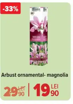 Carrefour Market Arbust ornamental-magnolia Ofertă