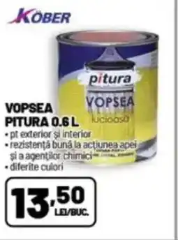 Ambient Vopsea pitura Ofertă