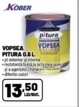 Ambient Vopsea pitura Ofertă