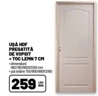 Ambient Uşa hdf pregatita de vopsit + toc lemn Ofertă