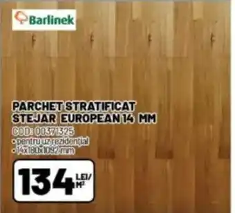 Ambient Parchet stratificat stejar european 14 mm Ofertă