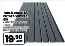 Ambient Tabla zincata cutata vopsita, g10 Ofertă