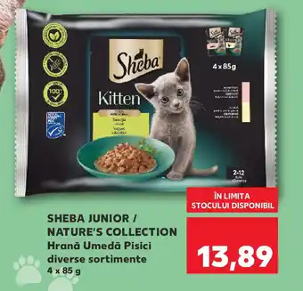 Kaufland SHEBA JUNIOR / NATURE'S COLLECTION Hrană umedă Pisici Ofertă