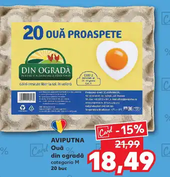 Kaufland AVIPUTNA Oua din ograda Ofertă