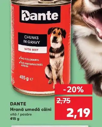 Kaufland DANTE Hrană umedă câini Ofertă