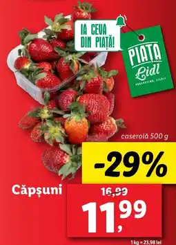 Lidl Căpşuni Ofertă