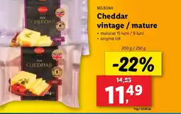 Lidl MILBONA Cheddar vintage/mature Ofertă