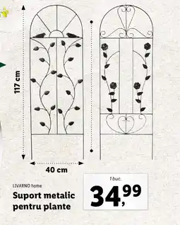 Lidl LIVARNO home Suport metalic pentru plante Ofertă