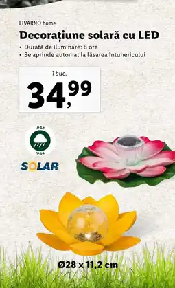 Lidl LIVARNO home Decorațiune solară cu LED Ofertă