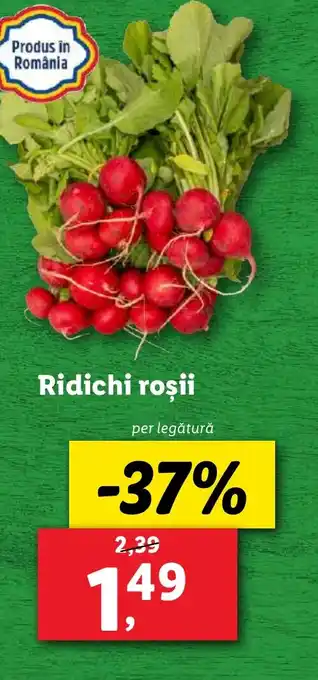 Lidl Ridichi roşii Ofertă