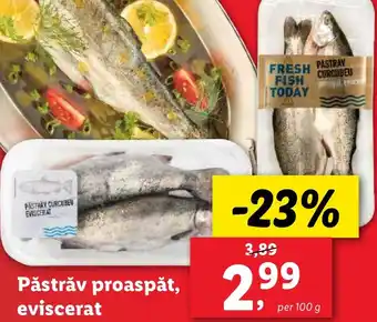 Lidl Păstrǎv proaspăt, eviscerat Ofertă