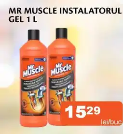 Unicarm MR MUSCLE Instalatorul gel Ofertă