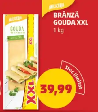 Penny Brânză gouda xxl Ofertă