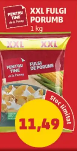 Penny Xxl fulgi porumb Ofertă