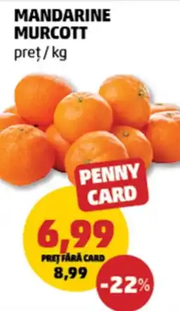 Penny Mandarine murcott Ofertă