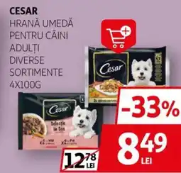 Auchan Cesar hrană umedă pentru câini adulţi Ofertă