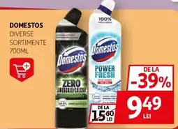 Auchan DOMESTOS Ofertă