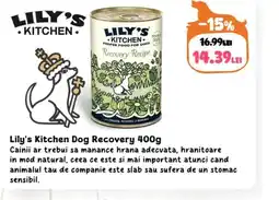 Animax Lily's Kitchen Dog Recovery Ofertă