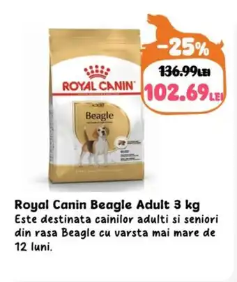 Animax Royal Canin Beagle Adult Ofertă