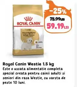 Animax Royal Canin Westie Ofertă