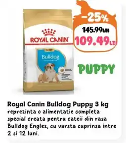 Animax Royal Canin Bulldog Puppy Ofertă