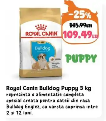 Animax Royal Canin Bulldog Puppy Ofertă