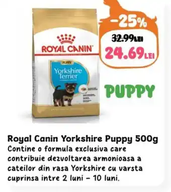 Animax Royal Canin Yorkshire Puppy Ofertă