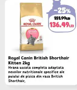 Animax Royal Canin British Shorthair Kitten Ofertă