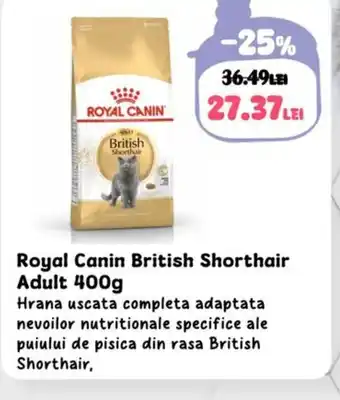 Animax Royal Canin British Shorthair Adult Ofertă