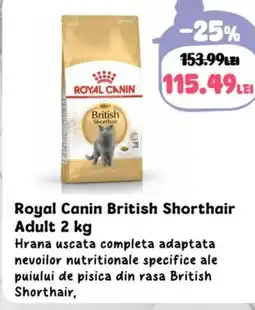 Animax Royal Canin British Shorthair Adult Ofertă