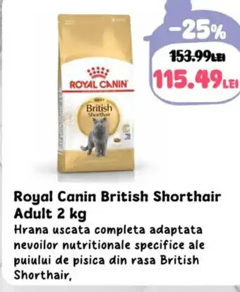 Animax Royal Canin British Shorthair Adult Ofertă