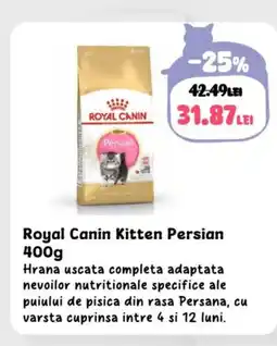 Animax Royal Canin Kitten Persian Ofertă