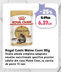 Animax Royal Canin Maine Coon Ofertă