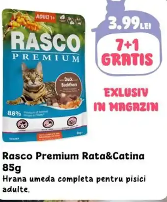 Animax Rasco Premium Rata&Catina Ofertă